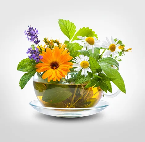 Vitaminkirály.hu - a Vitamin webáruház