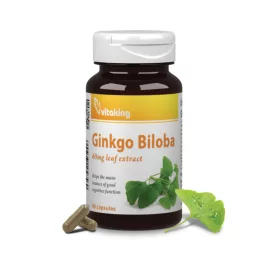  Vitaking® Ginkgo Biloba kivonat 