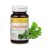  Vitaking® Ginkgo Biloba kivonat 
