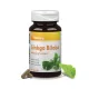  Vitaking® Ginkgo Biloba kivonat 