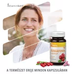 Vitaking Tőzegáfonya kivonat C-vitaminnal (90)