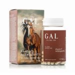 GAL Shoden® Ashwagandha (60)