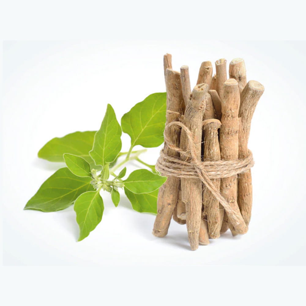 Tartós stressz? Az ashwagandha lehet a válasz