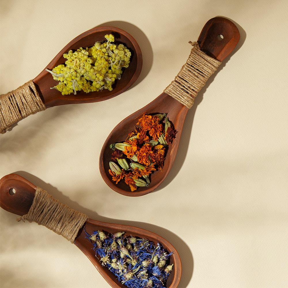 Immunerősítés természetesen – Gyógynövények, amik segítik a tested